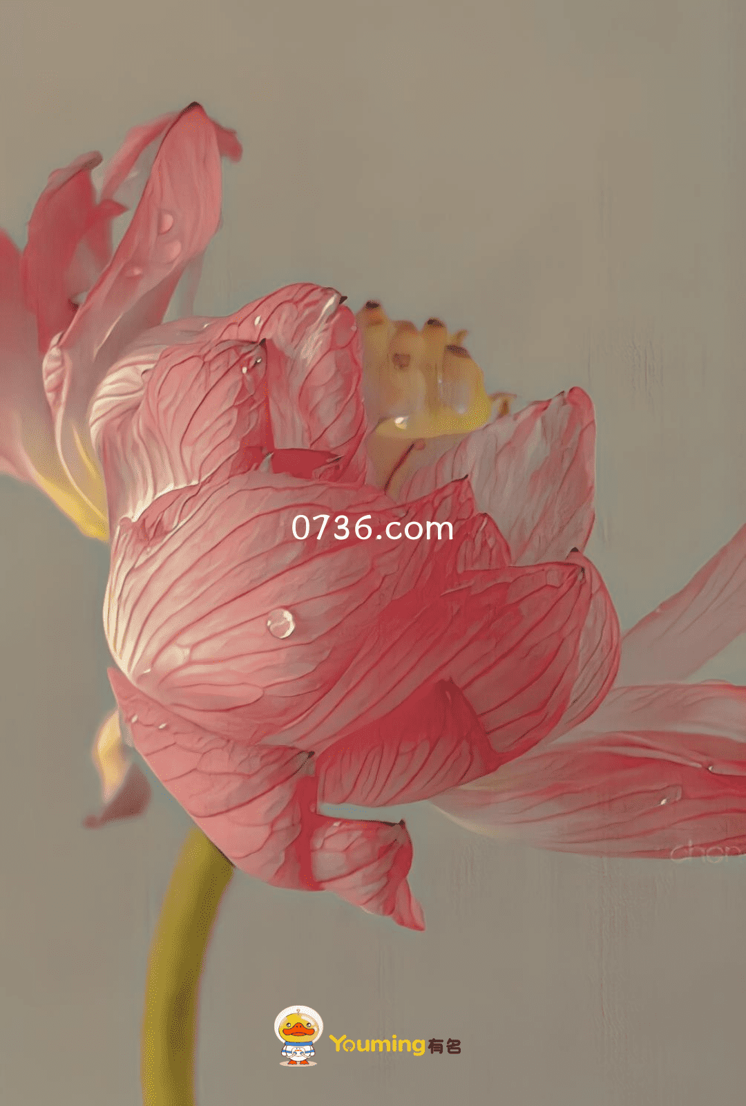0736.com