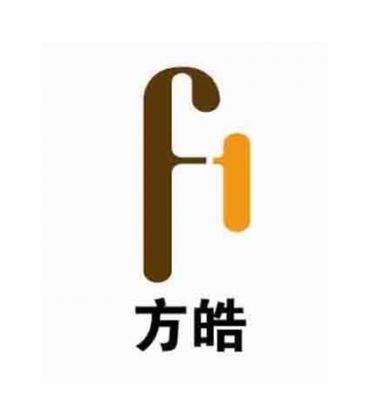 方皓 FI