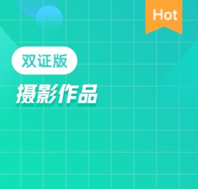 动物
